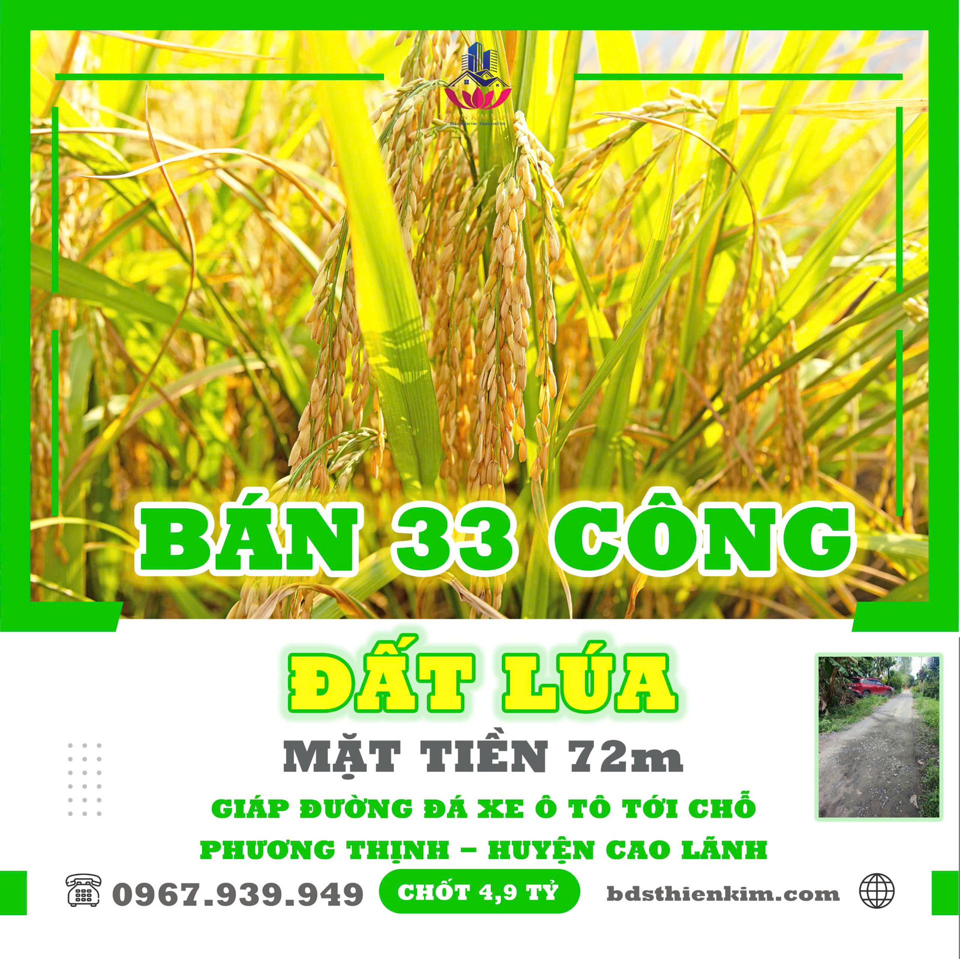 HCL-01323 BÁN 33 CÔNG ĐẤT LÚA - MẶT TIỀN 72m - ĐƯỜNG ĐÁ - CAO LÃNH, ĐỒNG THÁP; 4 Tỷ 900Thiên Kim Land